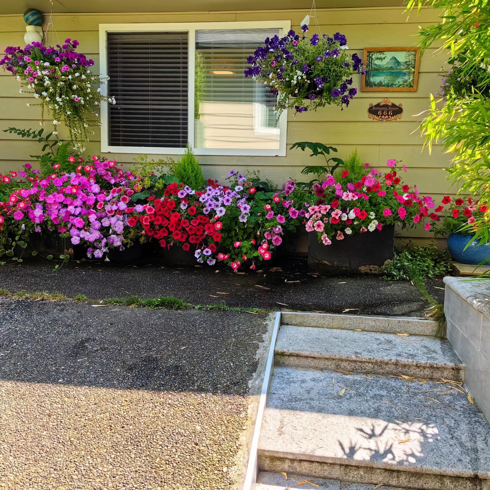 Romantic Homestay Coquitlam Kültér fotó